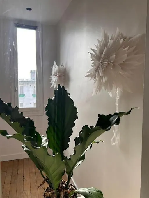 Un Fabuleux Decor Pour Un Chaleureux Apartment *